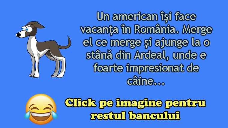 Un american își face vacanța în România