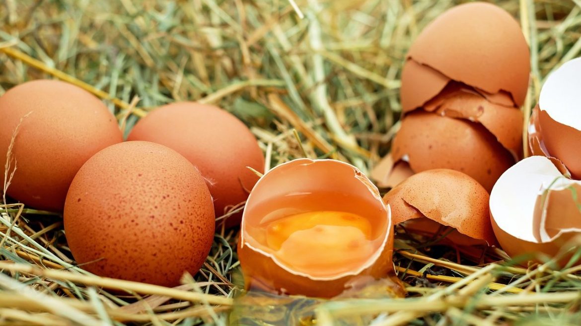 6 motive pentru care nu ar trebui să aruncaţi niciodată cojile de ouă