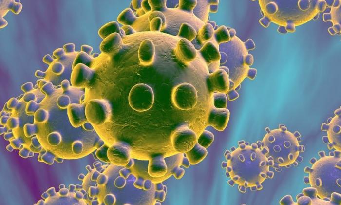 Cât de mult rezistă coronavirusurile pe suprafeţe nedezinfectate şi cât de uşor pot fi luate de pe acestea