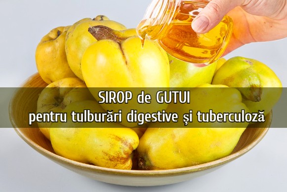 Siropul de gutui – util în tulburările digestive și tuberculoză