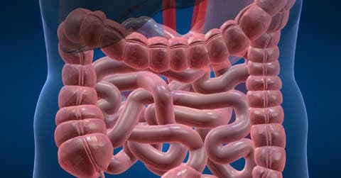10 semne al intestinului bolnav