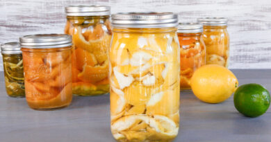 Tinctură de semințe și coajă de grepfrut – Cel mai bun antibiotic natural!