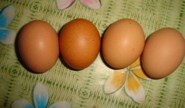 11 motive pentru care trebuie să consumi 1 ou pe zi – Beneficii remarcabile pentru sănătate