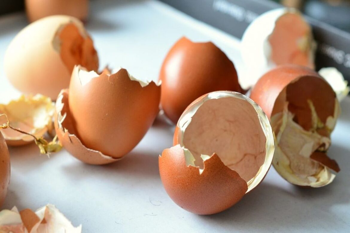 Cojile de ou nu sunt de aruncat. Ele sunt foarte utile în tratarea osteoporozei