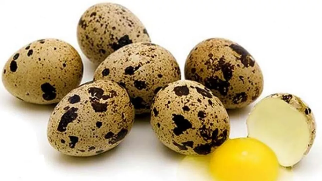 Oul de prepeliță și coaja oului de prepeliță – beneficii