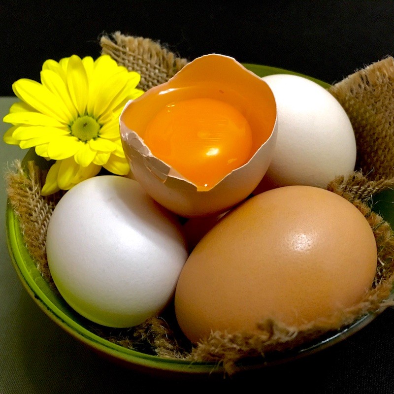 15 lucruri uimitoare despre ouă pe care sigur nu le știai