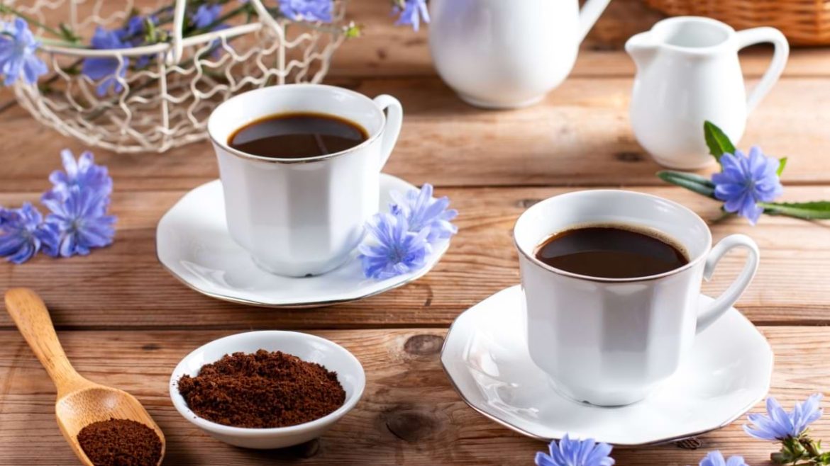 Cafeaua de cicoare nu conține cofeină și are multe beneficii pentru sănătate